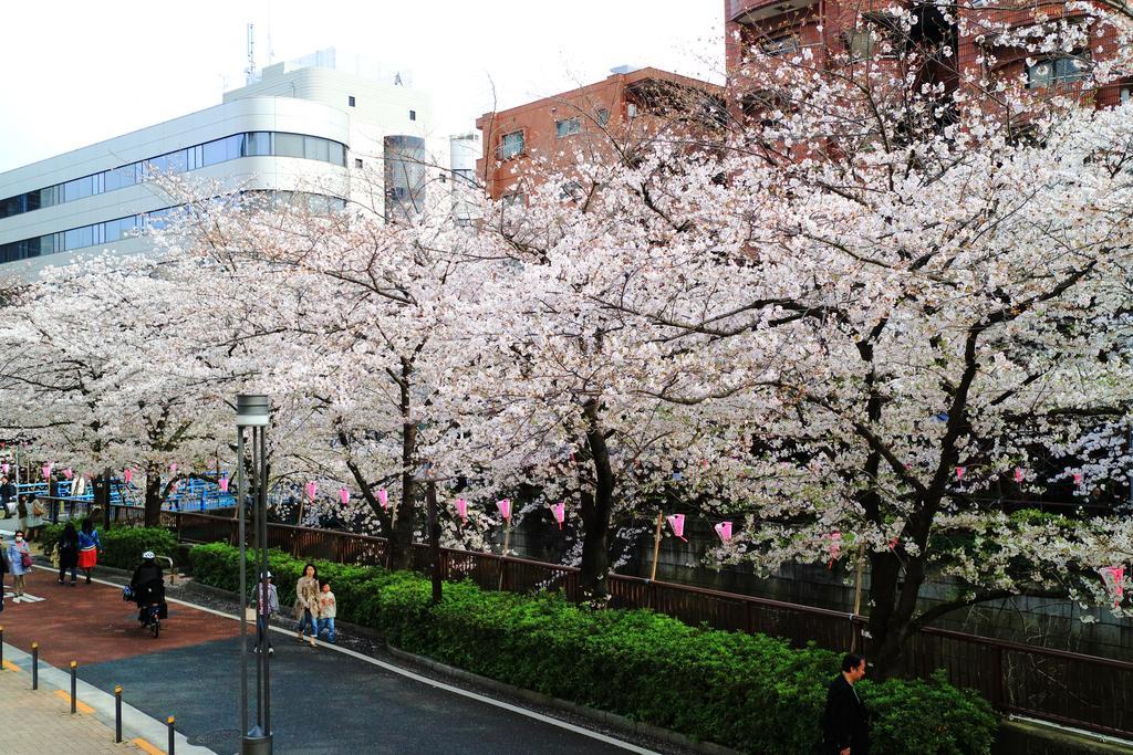 Coto Tokyo Shibuya Apartment Luaran gambar